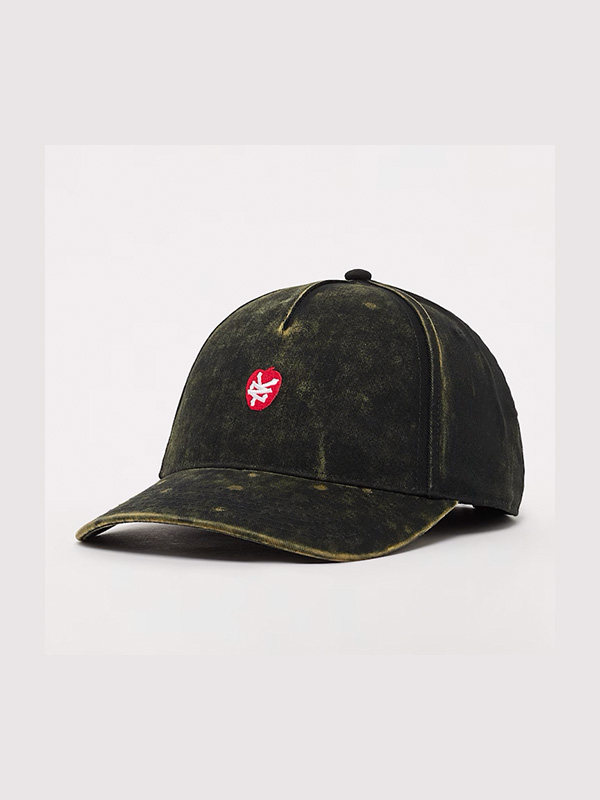 Zoo York Apple Dad cap